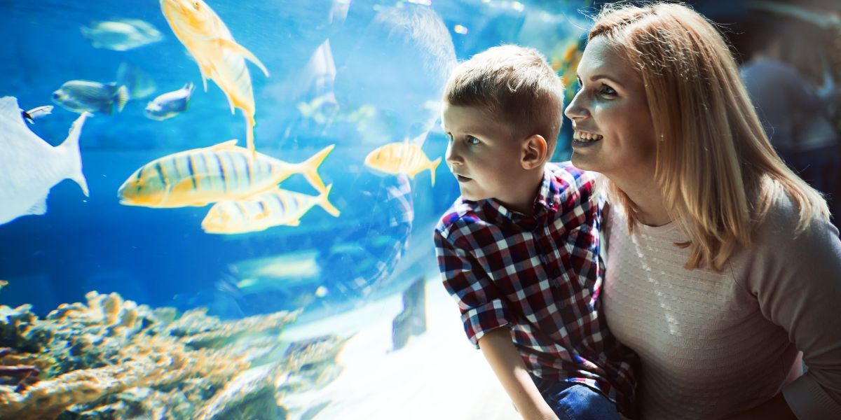 mom and child looking at aquarium fish