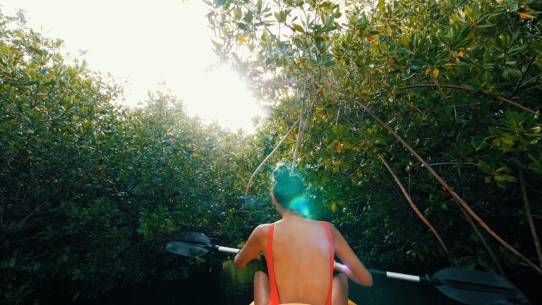 Best Places to Kayak on Lido Key