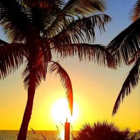 How Would You Spend 7 Perfect Days on Lido Key?