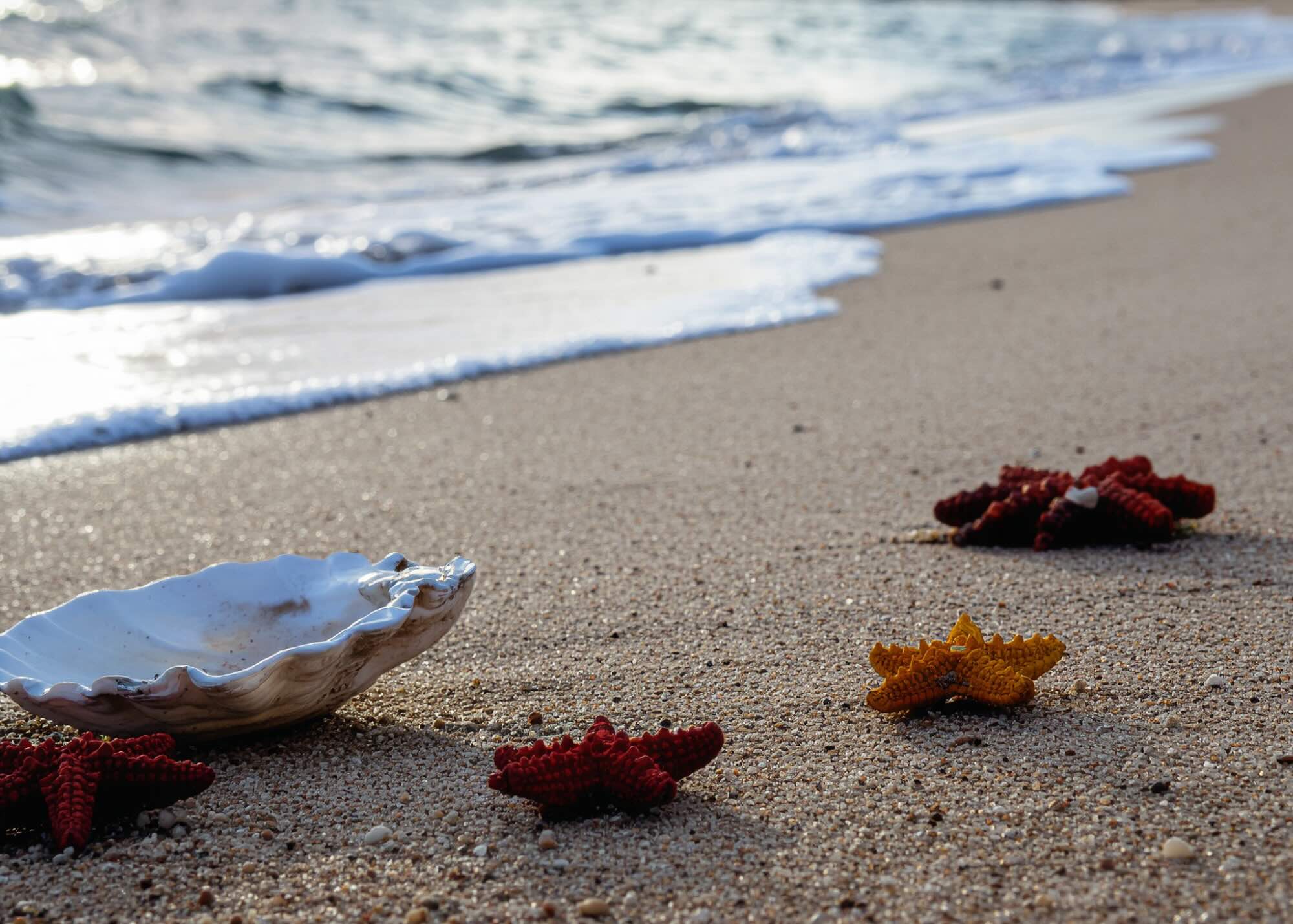 Experience These Amazing Oyster Bars on your Next Lido Key Vacation