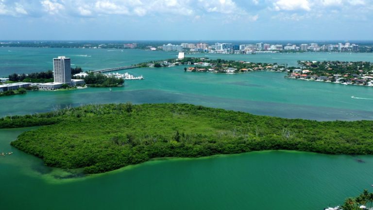 What to Do on Casey Key Just Minutes from Your Lido Key Vacation Rentals