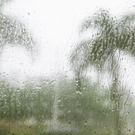 What to Do During Rainy Season on the Island: Lido Key’s Best Rainy Day Activities
