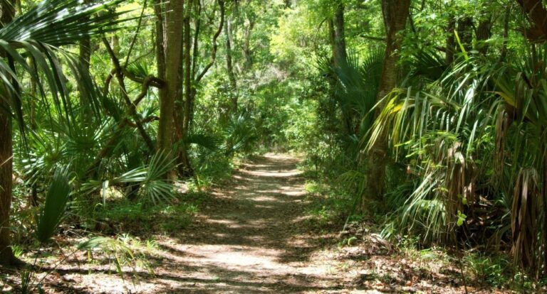 Tired of the Sand? Check Out These Awesome Parks to Explore Near Lido Key