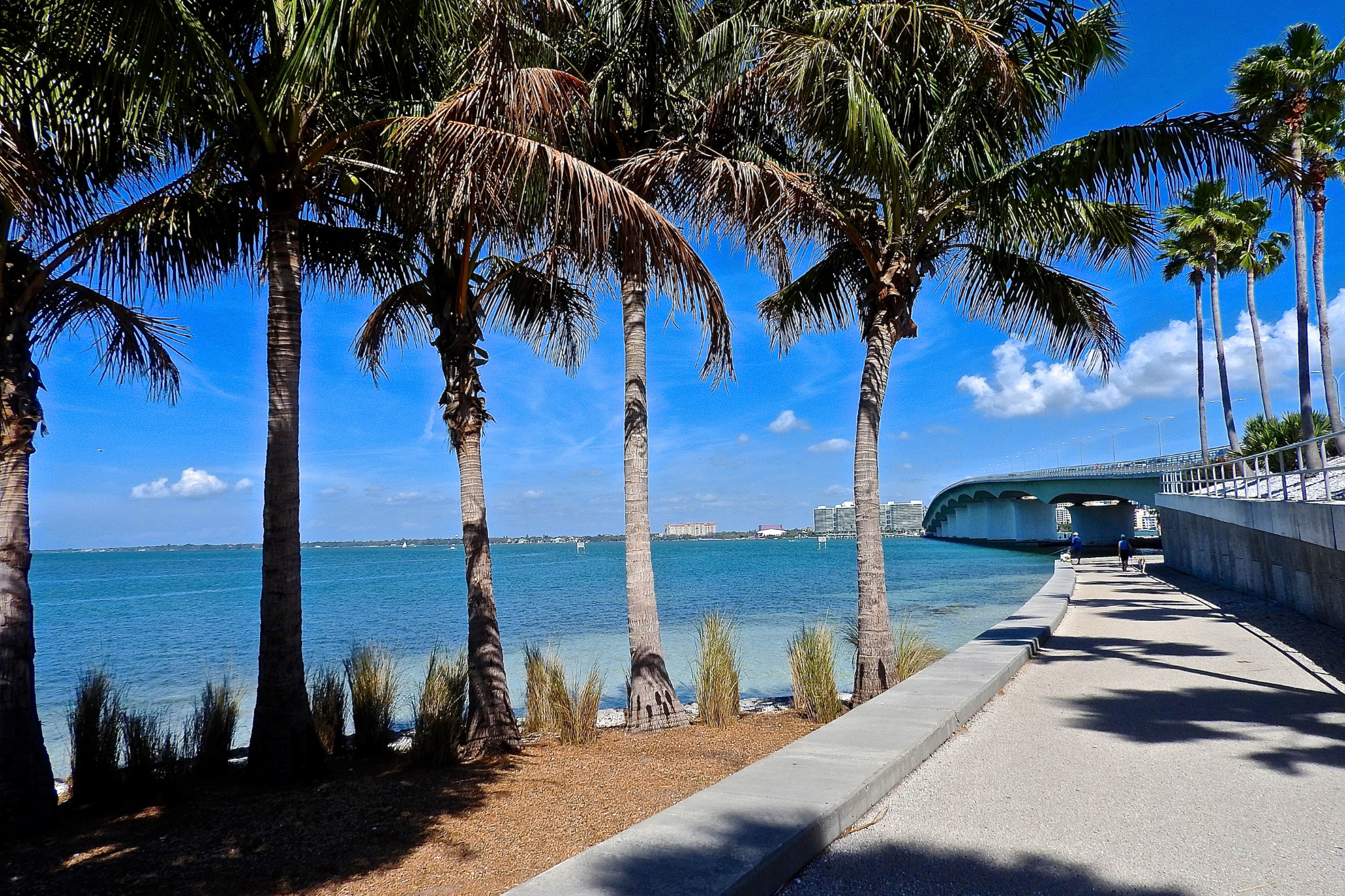 Why Book Your Lido Key Vacation Rental Direct?